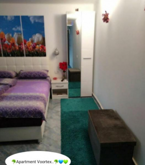 Apartment Voortex